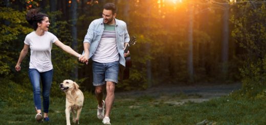 A Guide For Environmentally Conscious Pet Owners